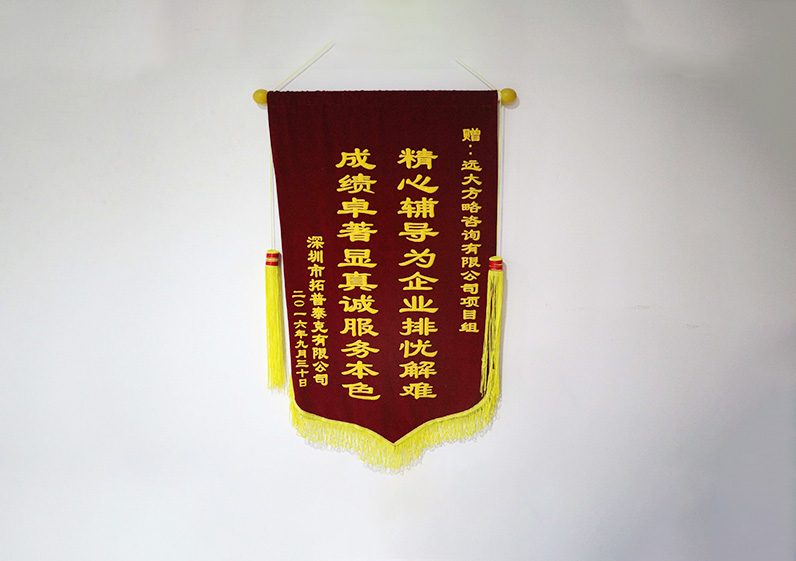 精心輔導(dǎo)為企業(yè)排憂(yōu)解難